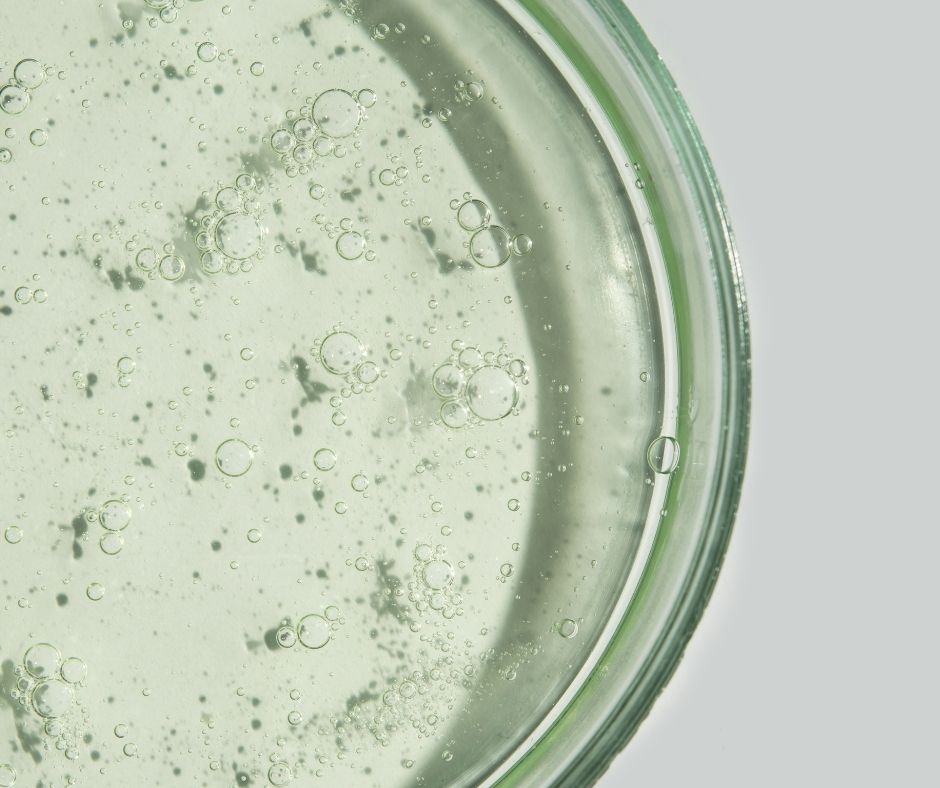 Nahaufnahme eines grünen Serums in einer Petrischale