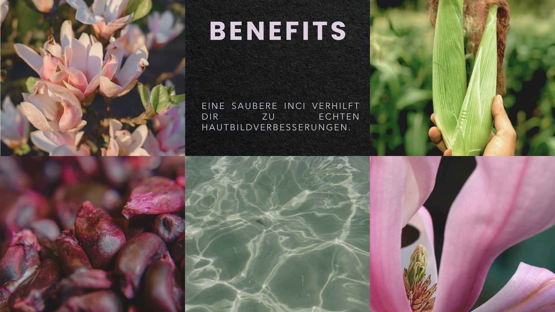 Natürliche Inhaltsstoffe des Velvetboosters – Magnolie, Mais, Wasser und Pflanzenextrakte als Grundlage für sichtbare Hautbildverbesserungen.